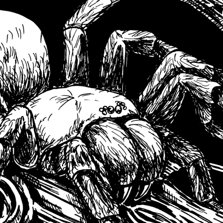 Inktober 2023 #02: Spiders Thumbnail
